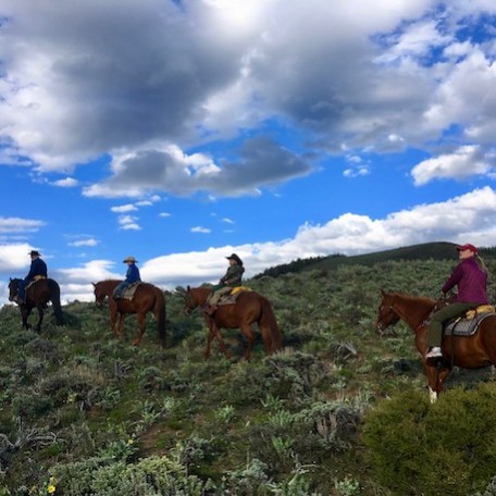 A group of horseback riders enjoying the Colorado springtime while meandering through grass covered fields.