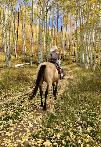 Close-up of a horse and rider navigating a rugged trail at Rusty Spurr Ranch, showcasing the serene forests and untouched wilderness.