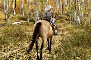 Close-up of a horse and rider navigating a rugged trail at Rusty Spurr Ranch, showcasing the serene forests and untouched wilderness.