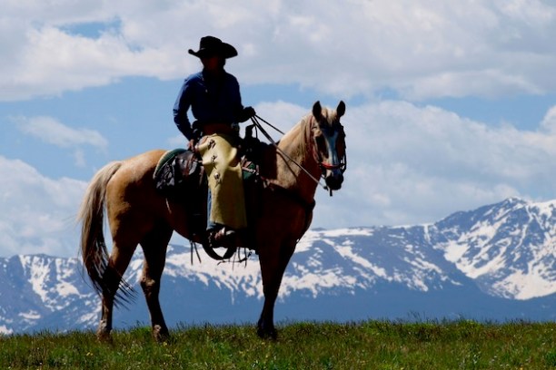 a person riding a horse in a field