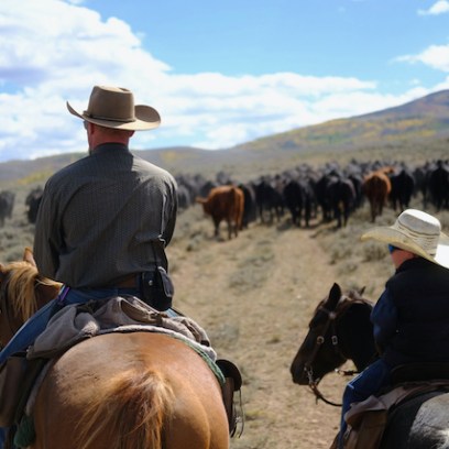 a group of people riding on the back of a horse