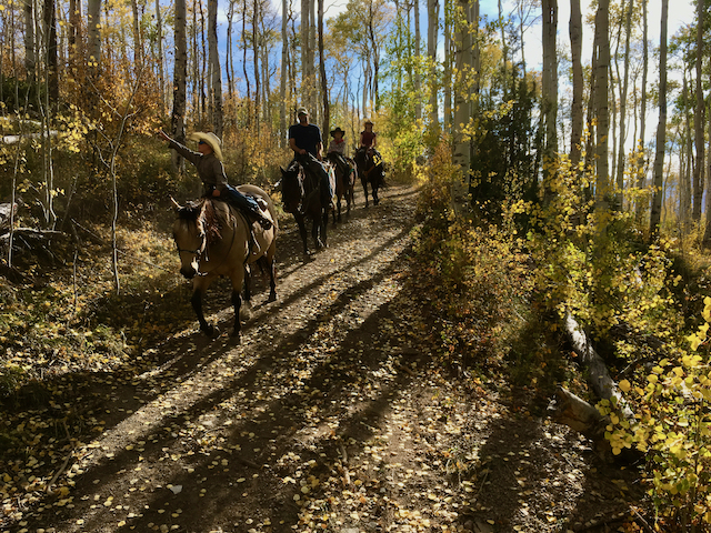 A group of riders on horseback exploring the vibrant Aspen Forest Trails in Colorado's wilderness.