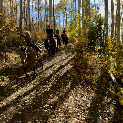 A group of riders on horseback exploring the vibrant Aspen Forest Trails in Colorado's wilderness.