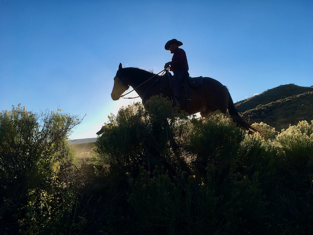 cowboy silhouette Rider enjoying a peaceful moment on a remote hilltop, overlooking the expansive terrain of Rusty Spurr Ranch's off-trail courses