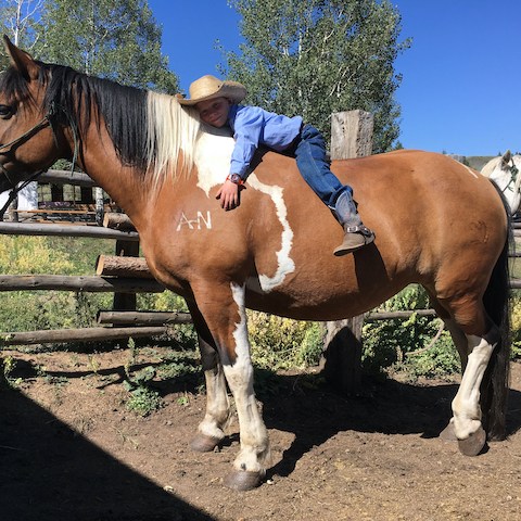 a brown horse standing next to a fence