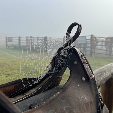 a close up of a ramp
