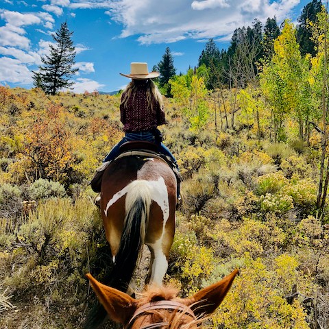 Rider on horseback exploring scenic Colorado wilderness at Rusty Spurr Ranch, showcasing expansive meadows and golden aspen trees in the fall.