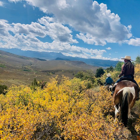 a person riding a horse in a field with a mountain in the background
