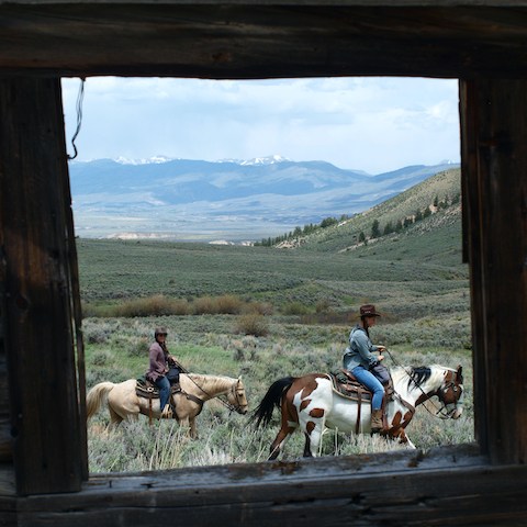The tranquil beauty of a Colorado trail, perfect for a serene horseback journey in nature