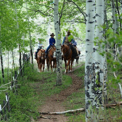 Group of riders on horseback at Rusty Spurr Ranch enjoying a guided wilderness adventure through dense Colorado aspen forests.