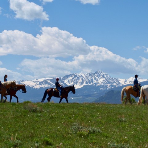 Group of riders on horseback at Rusty Spurr Ranch enjoying guided Colorado trail rides and wilderness adventures capturing the expansive mountain views.