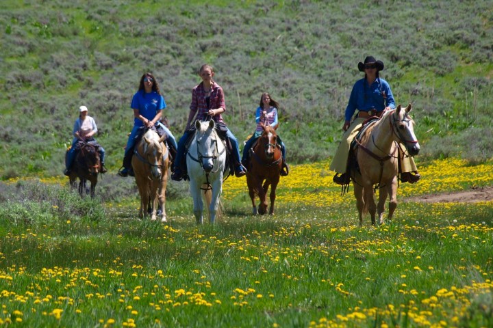 horseback riders exploring vibrant wildflower trails at Rusty Spurr Ranch, showcasing expansive meadows and open range riding