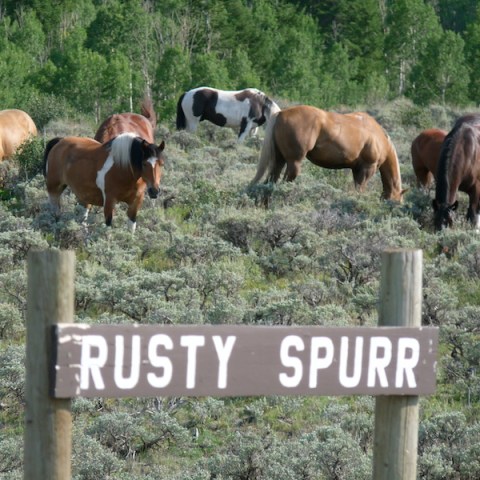 a group of men standing next to a horse