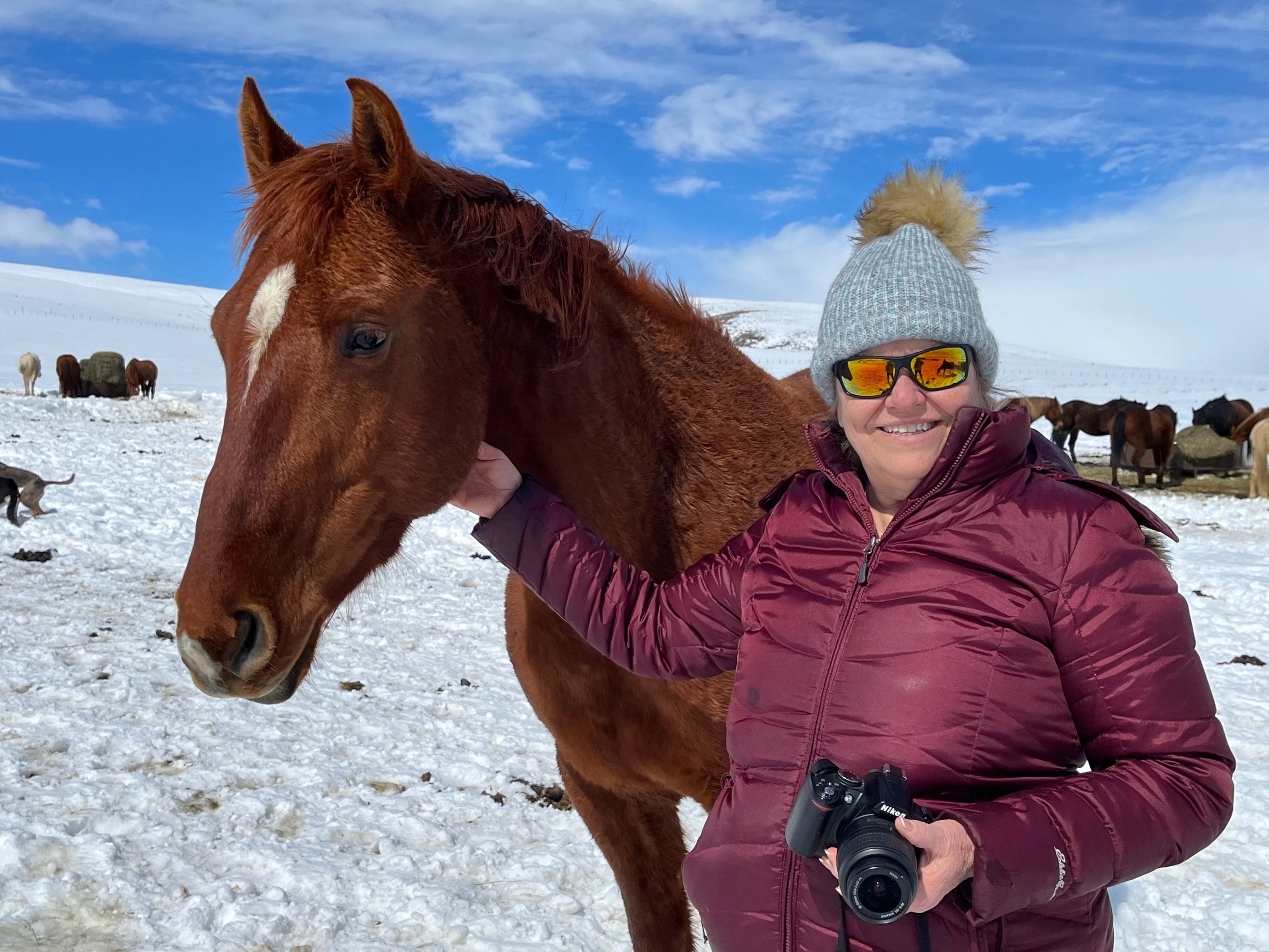 Photographer on horseback aiming to capture stunning wildlife photos.