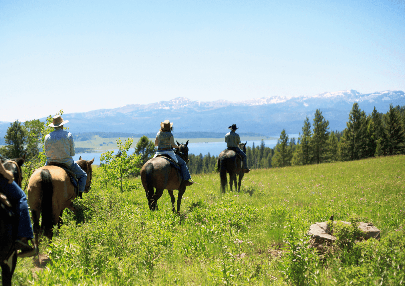 Horseback Riding Tours For Bachelor Parties in Colorado